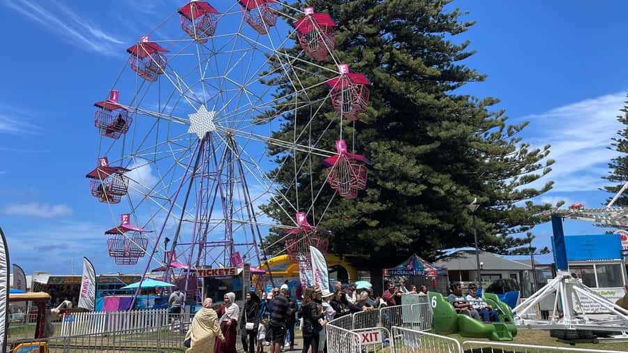 Adelaide: South Australia Guided Full-Day Highlights Tour - How to judge the $126 price