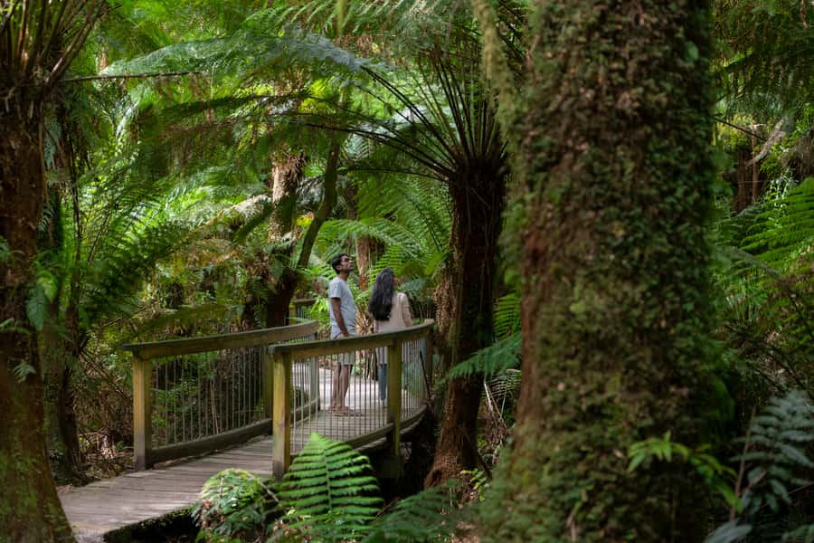 Adelaide to Melbourne: 3-Day Ultimate Overland Journey - Why the guide can make or break this trip