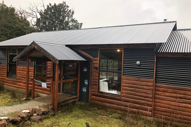 After Dark Tasmanian Devil Feeding Tour at Cradle Mountain - Tasmanian Devils up close