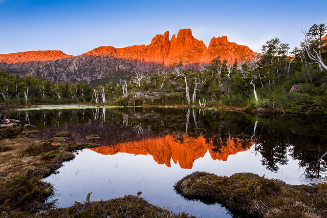 After Dark Tasmanian Devil Feeding Tour at Cradle Mountain - Arrive early and see the sanctuary in daylight