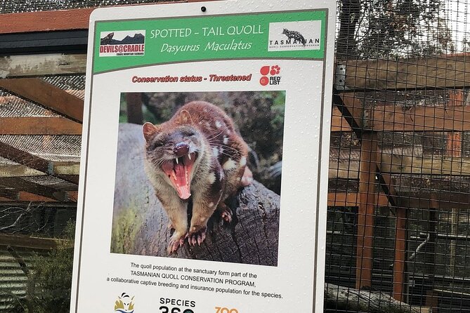 After Dark Tasmanian Devil Feeding Tour at Cradle Mountain - What the $30.48 price really includes