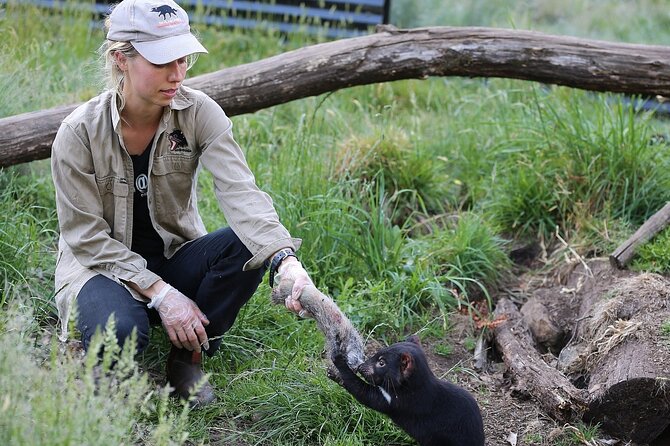After Dark Tasmanian Devil Feeding Tour at Cradle Mountain - Dress for a cold alpine evening