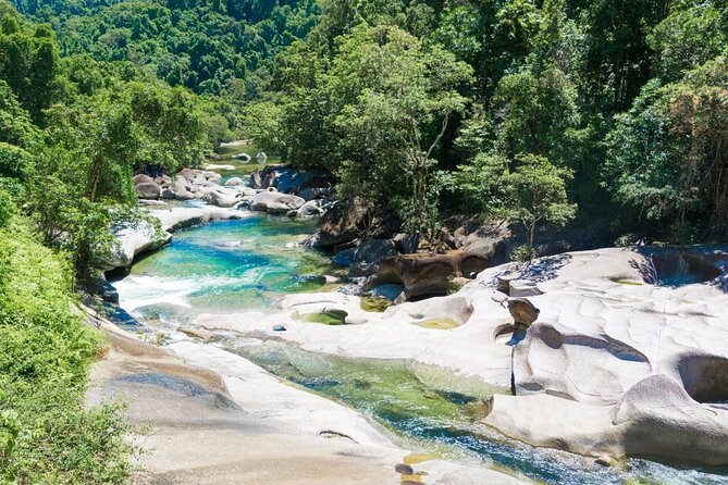 Afternoon & Evening Tour of Paronella Park - Key points to know before booking