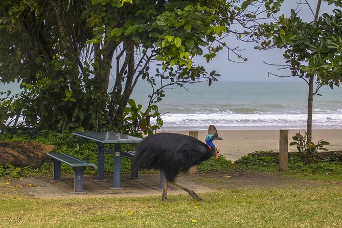 Afternoon & Evening Tour of Paronella Park - Simon’s guiding is a major part of the value