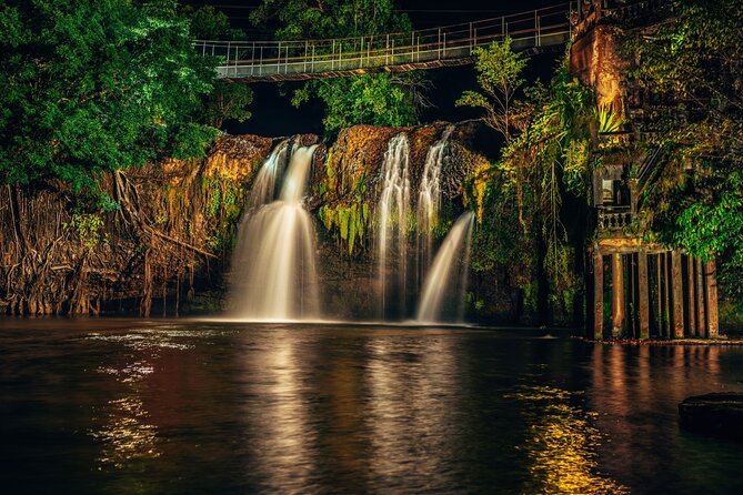 Afternoon & Evening Tour of Paronella Park - Etty Bay offers a real chance to see a cassowary