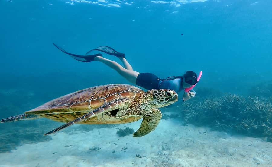 Agnes/1770: Southern Great Barrier Reef Snorkelling Day Trip - Reaching the Southern Great Barrier Reef from 1770