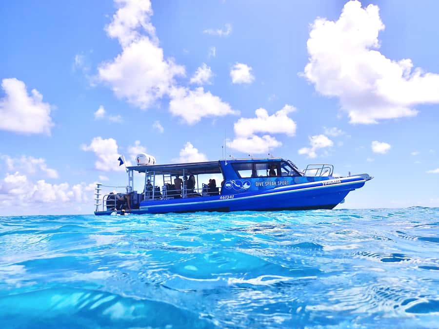 Agnes/1770: Southern Great Barrier Reef Snorkelling Day Trip - The first 1.5-hour snorkelling session