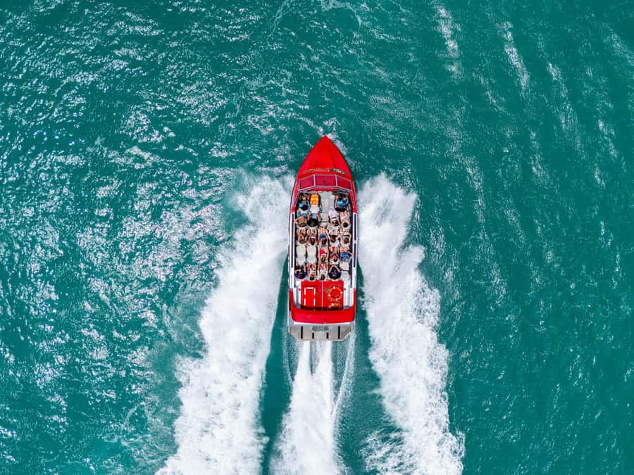 Airlie Beach: 30-Minute Jet Boat Ride - What the route shows you between the stunts