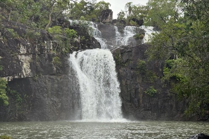 Airlie Beach: Cedar Creek Express (cruise ship friendly) - The ride from Airlie Beach to the falls