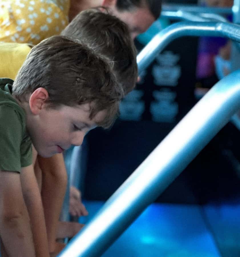 Airlie Beach: Glass-Bottom Boat Night Tour - Why a night cruise changes the Whitsundays