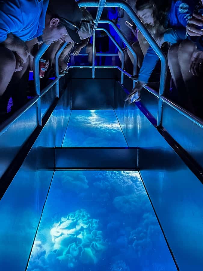 Airlie Beach: Glass-Bottom Boat Night Tour - Watching the reef through the glass