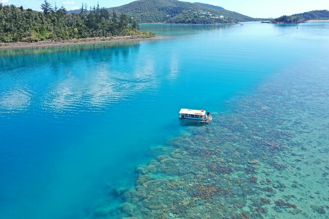 Airlie Beach: Glass-Bottom Boat Tour - Key points to know before booking