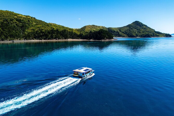 Airlie Beach: Glass-Bottom Boat Tour - Shute Harbour is part of the experience