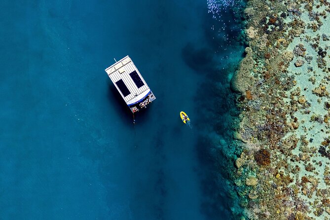 Airlie Beach: Glass-Bottom Boat Tour - The glass panels bring coral within reach