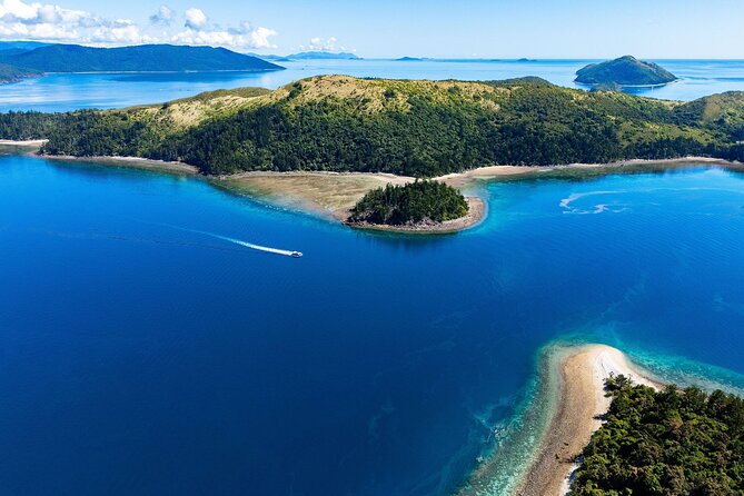 Airlie Beach: Glass-Bottom Boat Tour - The pace works well for families