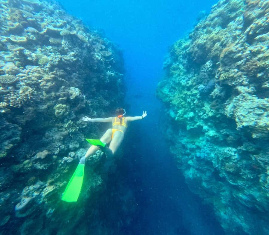 Airlie Beach: Great Barrier Reef & Whitehaven Beach Tour - Food, equipment, and the practical details