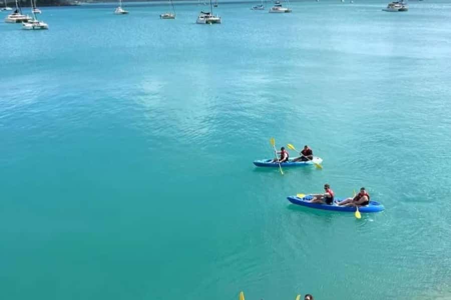 Airlie Beach: Half Day Turtle Tour Sea Kayaking Adventure - Looking for turtles and coastal birdlife