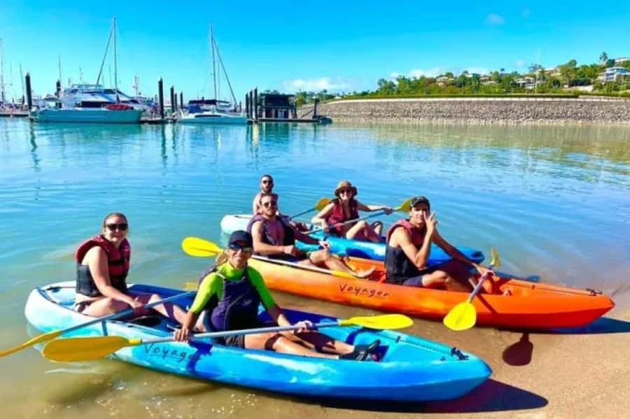 Airlie Beach: Half Day Turtle Tour Sea Kayaking Adventure - After the paddle, lunch or the lagoon