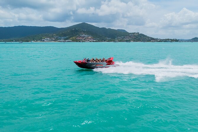 Airlie Beach Jet Boat Thrill Ride - Pioneer Bay views and the chance of wildlife