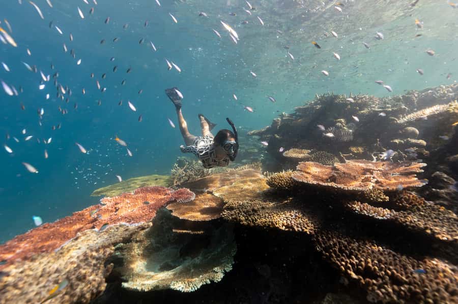 Airlie Beach: Outer Great Barrier Reef Snorkeling Day Trip - What the water time is really like