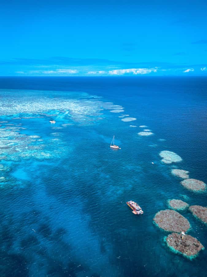 Airlie Beach: Outer Great Barrier Reef Snorkeling Day Trip - Should you book this Red Cat Adventures trip?