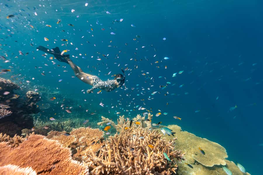 Airlie Beach: Outer Great Barrier Reef Snorkeling Day Trip - Choosing the safest reef stop