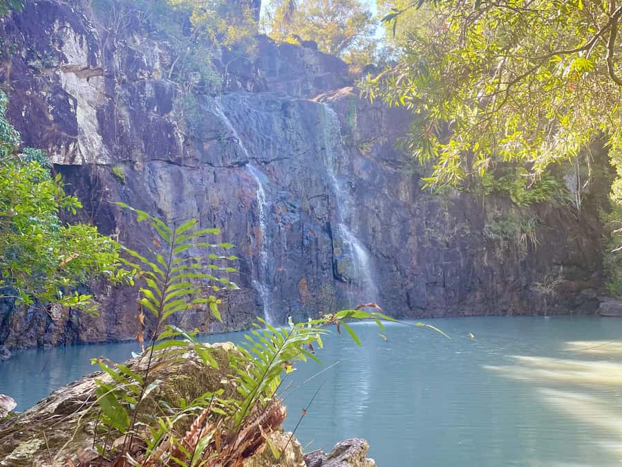 Airlie Beach: Roundtrip Tour to Cedar Creek. - Tea, ice blocks, and the little comforts