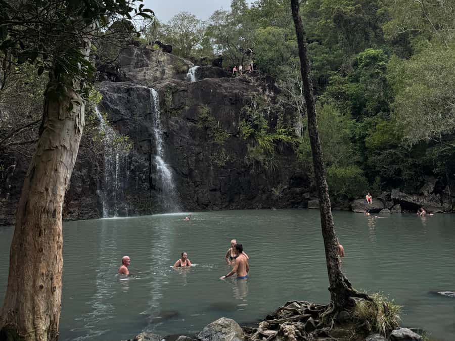 Airlie Beach: Roundtrip Tour to Cedar Creek. - Who will enjoy this outing most