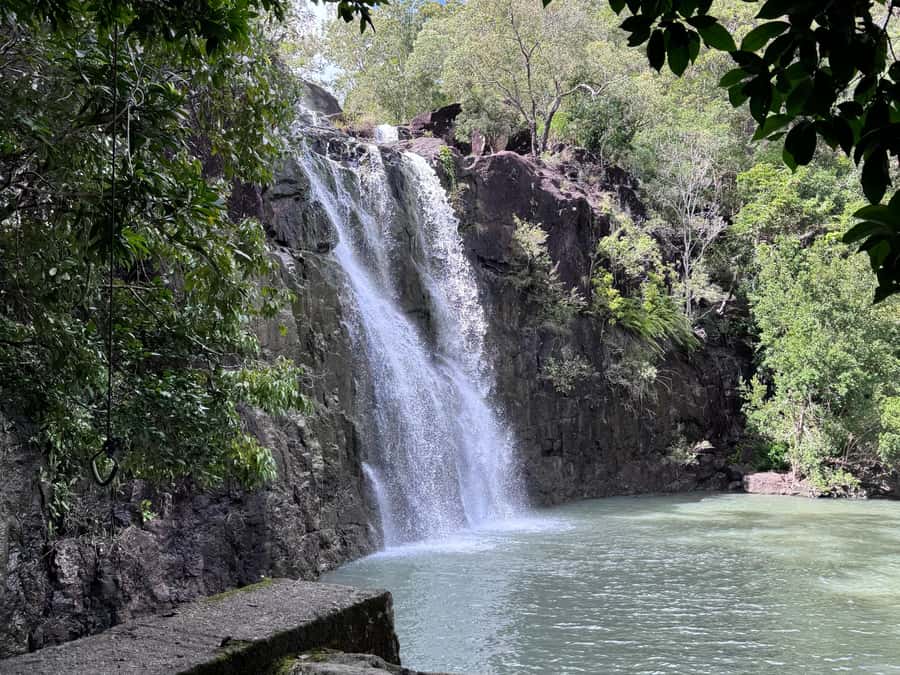 Airlie Beach: Roundtrip Tour to Cedar Creek. - Tips for getting the best Cedar Creek visit