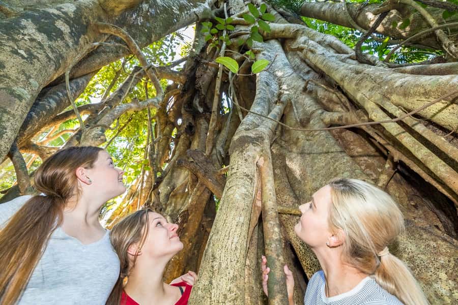 Airlie Beach: Segway Rainforest Discovery Tour - Key points to know before booking