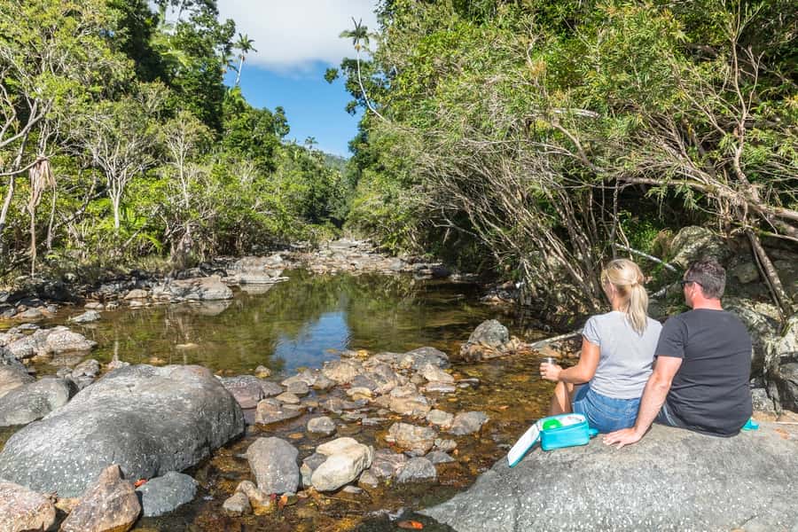 Airlie Beach: Segway Rainforest Discovery Tour - Rolling along the 9.4km rainforest route