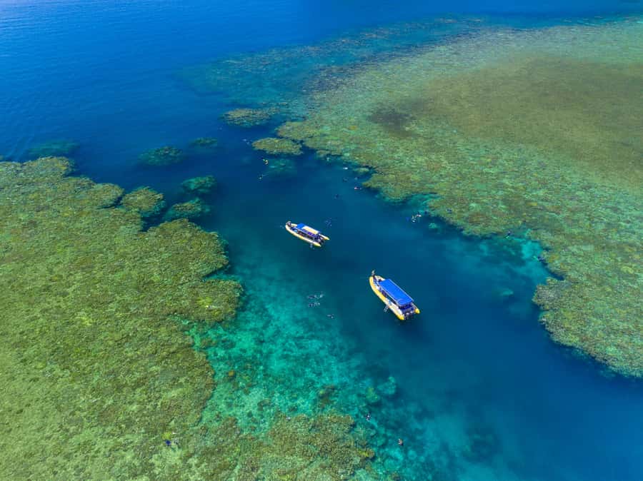 Airlie Beach: Snorkel, Hill Inlet Lookout & Whitehaven Beach - Key points at a glance