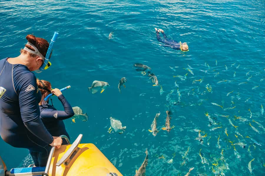 Airlie Beach: Snorkel, Hill Inlet Lookout & Whitehaven Beach - The beach stop and lunch choices