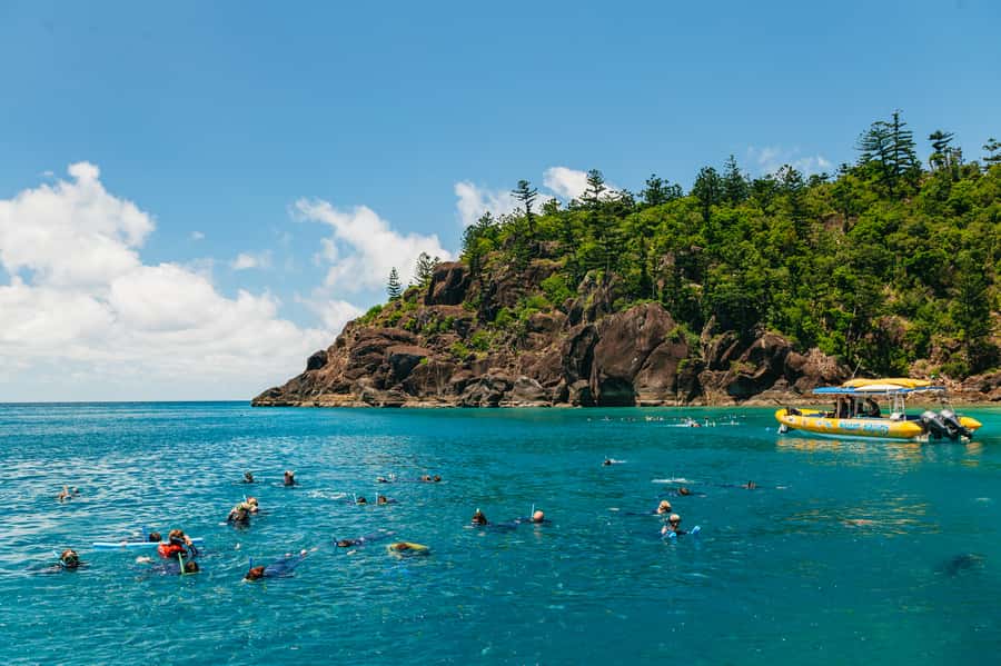 Airlie Beach: Snorkel, Hill Inlet Lookout & Whitehaven Beach - The guides make a big difference
