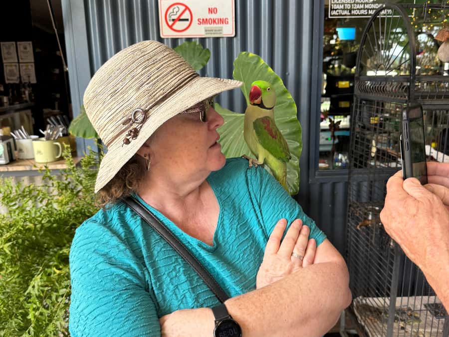 Airlie Beach: The Airlie Hopper Sightseeing Bus - Conway Beach gives the bus route breathing room