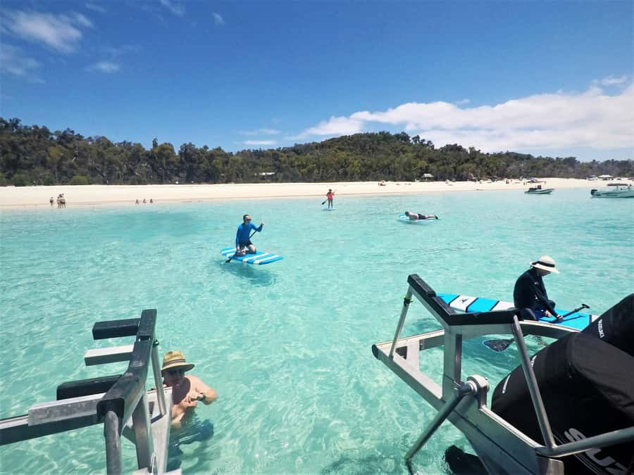 Airlie Beach: Whitehaven Beach Club - Snorkelling for an extra $29