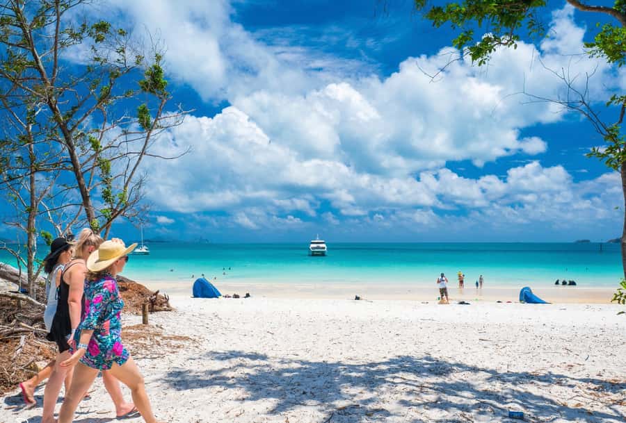 Airlie Beach: Whitehaven Beach Cruise and Hill Inlet - The cruise from Port of Airlie