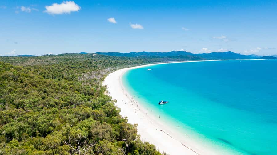Airlie Beach: Whitehaven Beach Day Tour with Snorkel Option - Who should book this day trip?