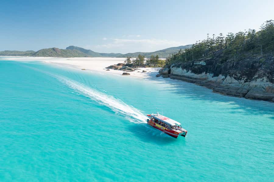 Airlie Beach: Whitehaven Full-Day Eco-Cruise with Buffet - Key points to know before you book