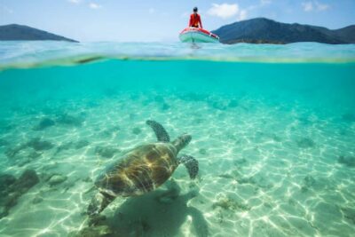 Whitehaven Full-Day Eco-Cruise with Buffet