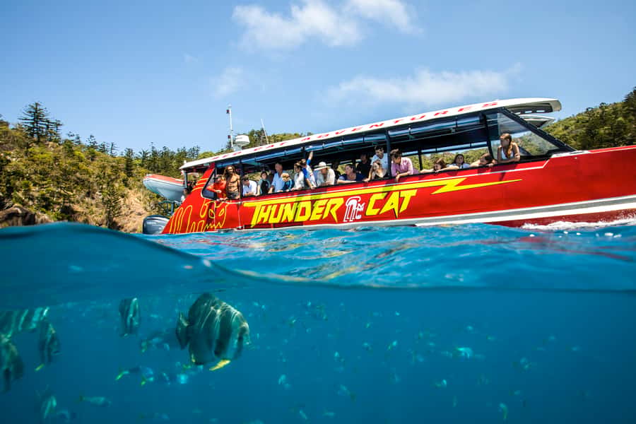 Airlie Beach: Whitehaven Full-Day Eco-Cruise with Buffet - The return crossing and the seasickness question