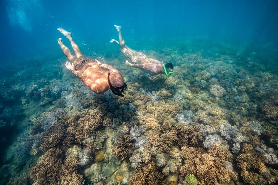 Airlie Beach: Whitehaven Full-Day Eco-Cruise with Buffet - What the $162 price really buys you