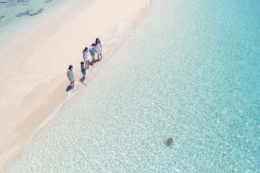 Airlie Beach: Whitehaven Full-Day Eco-Cruise with Buffet - Should you book the Red Cat Whitehaven cruise?