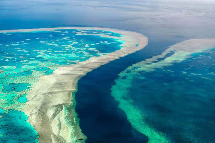 Airlie Beach: Whitsunday Islands & Heart Reef Scenic Flight - Five details worth knowing before you book