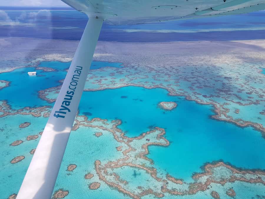 Airlie Beach: Whitsunday Islands & Heart Reef Scenic Flight - Why an aerial view changes the Whitsundays