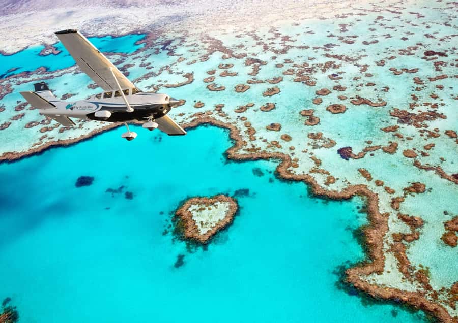 Airlie Beach: Whitsunday Islands & Heart Reef Scenic Flight - Whitehaven Beach and Hill Inlet from above