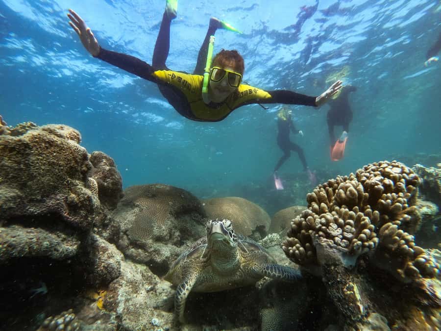 Airlie Beach: Whitsunday Islands Sailing, SUP & Snorkel Tour - Booking details worth knowing