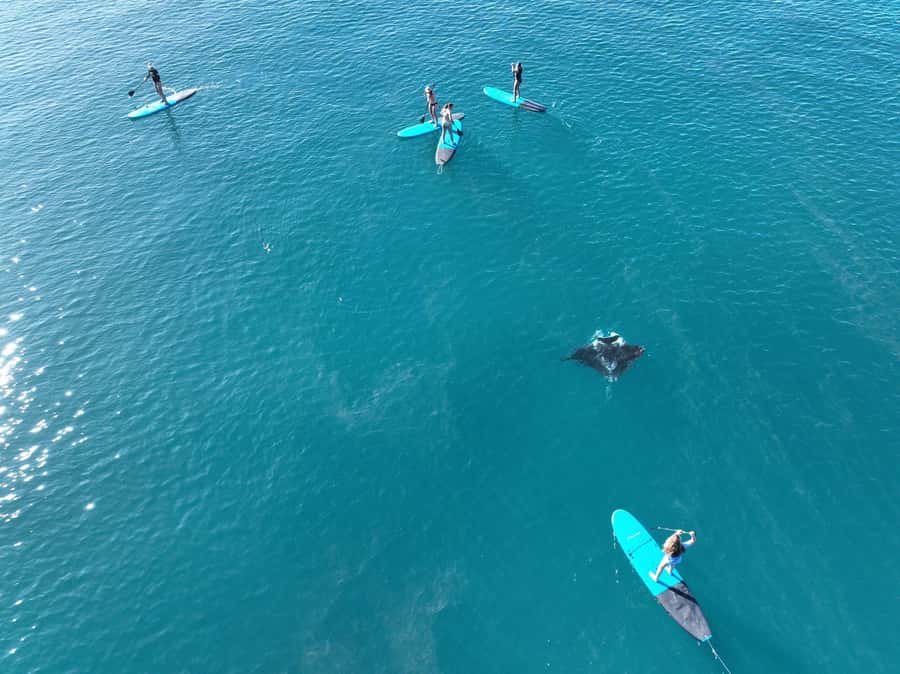 Airlie Beach: Whitsunday Islands Sailing, SUP & Snorkel Tour - What the $162 price buys you