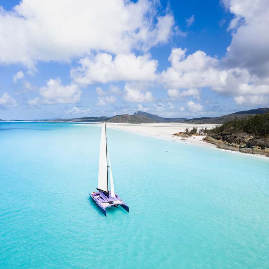 Airlie Beach: Whitsundays Full-Day Camira Sailing Adventure - Whitehaven Beach: famous for good reason
