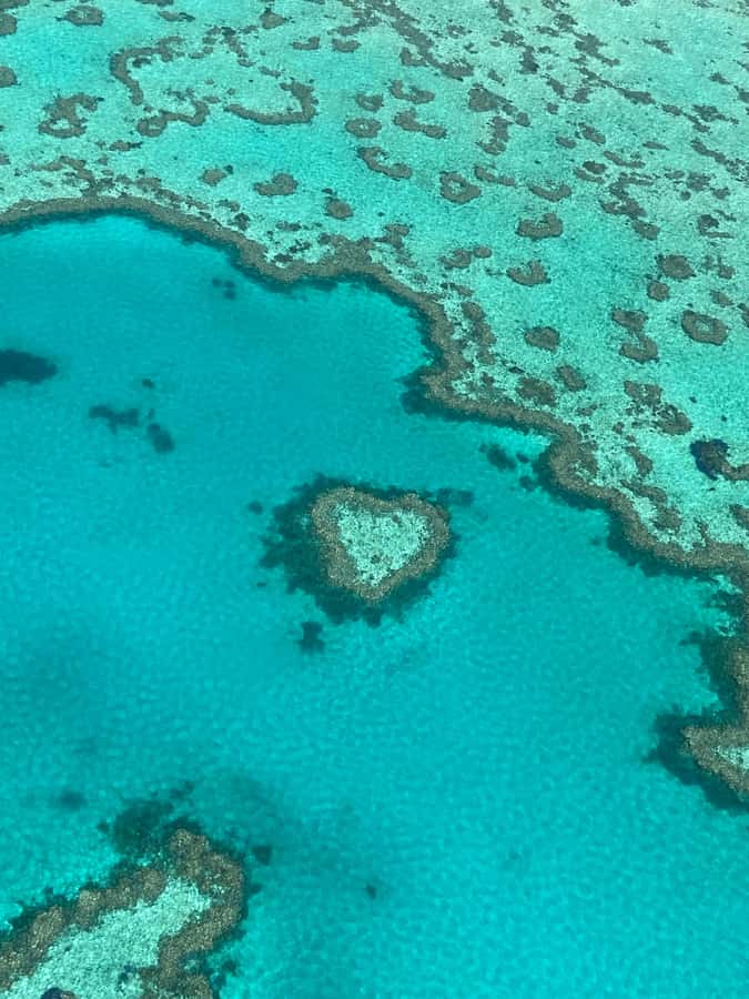 Airlie Beach: Whitsundays & Great Barrier Reef Scenic Flight - Why the Whitsundays look best from the air